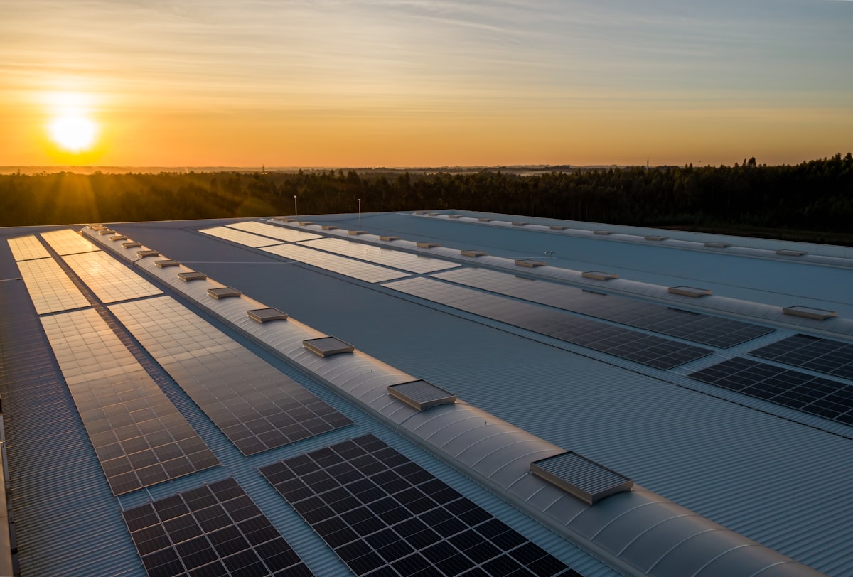 Paneles solares instalados en el techo de una vivienda