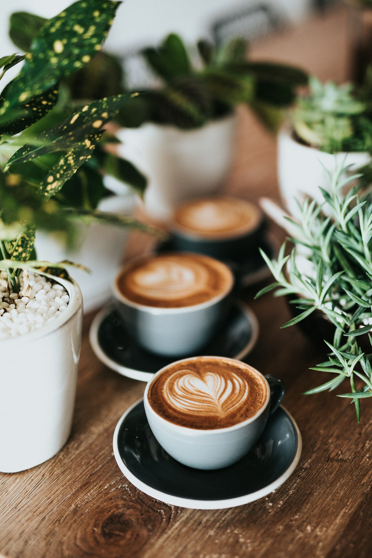 Más opciones de la cafetería